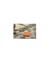 lacie Dysk zewnętrzny Rugged SSD 1TB USB-C STHR1000800 - nr 21