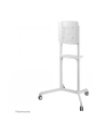 newstar Stojak podłogowy z płaskim ekranem NS-M1250WHITE - nr 52