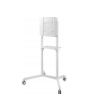 newstar Stojak podłogowy z płaskim ekranem NS-M1250WHITE - nr 56
