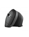 trust Mysz bezprzewodowa Verro Ergonomic - nr 29