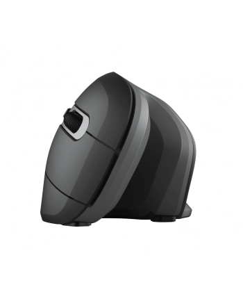 trust Mysz bezprzewodowa Verro Ergonomic