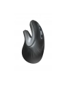 trust Mysz bezprzewodowa Verro Ergonomic - nr 30