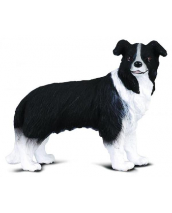 Pies Border Collie 88010 COLLECTA