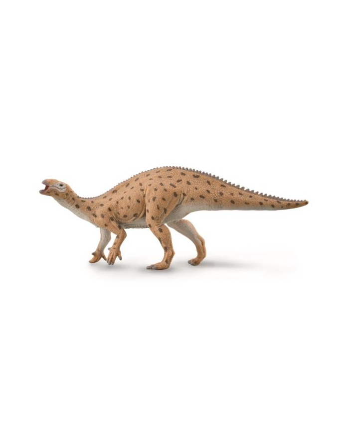 Dinozaur Fukuizaur 88871 COLLECTA główny