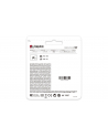 kingston Karta pamięci SD  64GB Canvas Go Plus 170/70MB/s CL10 U3 V30 - nr 49
