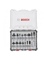bosch powertools Bosch cutter set 15 pcs Mixed 6mm shank - 2607017471 - nr 4