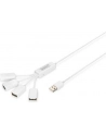 Hub USB2.0 4 portowy SlimSpider - nr 19