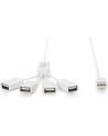 Hub USB2.0 4 portowy SlimSpider - nr 21