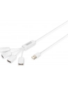 Hub USB2.0 4 portowy SlimSpider - nr 29