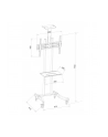 TECHLY Stojak mobilny TV LED/LCD/PDP 32-70inch 40kg z półką - nr 15