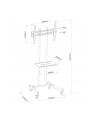 TECHLY Stojak mobilny TV LED/LCD/PDP 32-70inch 40kg z półką - nr 20