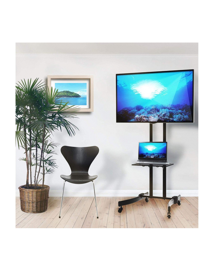 TECHLY Stojak mobilny TV LED/LCD/PDP 32-70inch 40kg z półką główny