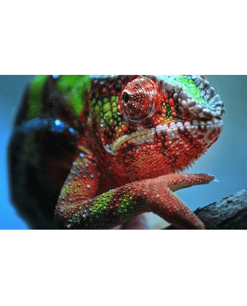 epson Projektor EH-TW7100  3LCD/4K UHD/3000AL/100k:1/16:9 nr 2