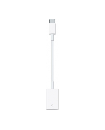 APPLE FN USB-C to USB Adapter for MacBook 12 Inch