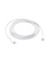 APPLE VMI USB-C Charge Cable (2m) cable 0 - nr 1