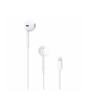 APPLE EarPods with Lightning Ear Pods for lightning devices - nr 38