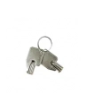 Zestaw kluczy do obudów QNAP KEY-HDDTRAY-01 - nr 9