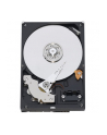 Dysk HDD WD Black WD10SPSX (1 TB ; 25 ; 64 MB; 7200 obr/min) - nr 7