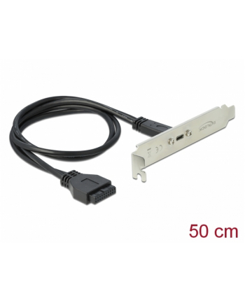 Gniazdo Delock USB-C 3.0 na śledziu 0,5m