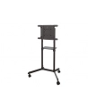 newstar Stojak podłogowy NS-M1250BLACK - nr 40
