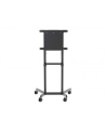 newstar Stojak podłogowy NS-M1250BLACK - nr 41