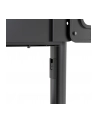 newstar Stojak podłogowy NS-M1250BLACK - nr 48