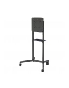 newstar Stojak podłogowy NS-M1250BLACK - nr 68