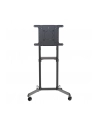 newstar Stojak podłogowy NS-M1250BLACK - nr 69