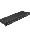 DeLOCK 19 ''Industrial Hub 13 x USB 3.1 Gen 1 type A, USB hub - nr 7