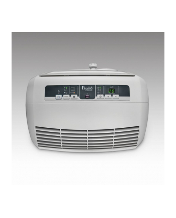 DeLonghi Pinguino PAC N90 ECO Silent, air conditioner (White)