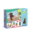 Clementoni Edukit 4w1 Puppies 18071 - nr 1