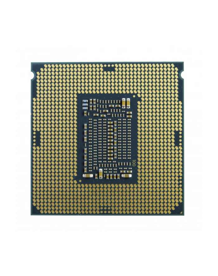 intel PROCESOR CORE i3-10300 440GHz FC-LGA14C główny