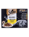 Sheba Del in Jelly Smaki Drobiowe 12x85g - nr 2