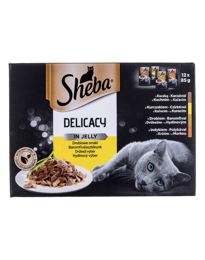 Sheba Del in Jelly Smaki Drobiowe 12x85g główny