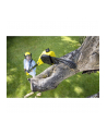 Teleskopowe nożyce akumulatorowa KARCHER PSW 18-20 Battery  1444-0100 - nr 4