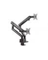 ICY BOX IB-MS314-T, holder (black, 2 monitors) - nr 12