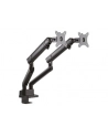 ICY BOX IB-MS314-T, holder (black, 2 monitors) - nr 14