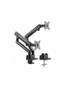 ICY BOX IB-MS314-T, holder (black, 2 monitors) - nr 1