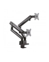 ICY BOX IB-MS314-T, holder (black, 2 monitors) - nr 23