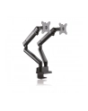 ICY BOX IB-MS314-T, holder (black, 2 monitors) - nr 24