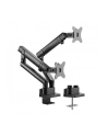 ICY BOX IB-MS314-T, holder (black, 2 monitors) - nr 26