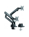 ICY BOX IB-MS314-T, holder (black, 2 monitors) - nr 28