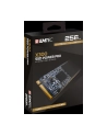 Emtec X300 M.2 SSD Power Pro 256 GB, Solid State Drive (M.2 2280, NVMe PCIe Gen 3.0 x4) - nr 7