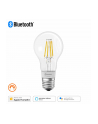 osram LEDVANCE Smart + Fil Bulb DIM E27 ZIB / BLE - HomeKit - nr 1
