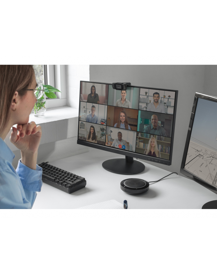 SANDBERG USB Webcam Saver główny