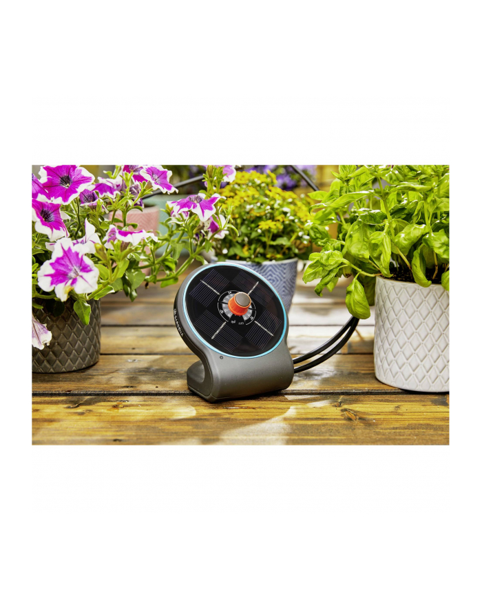 GARDENA Solar Irrigation aquaBloom Set, automatic irrigation system (gray, for up to 20 plants) główny