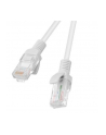 LANBERG patchcord cat.5e 50m grey - nr 1
