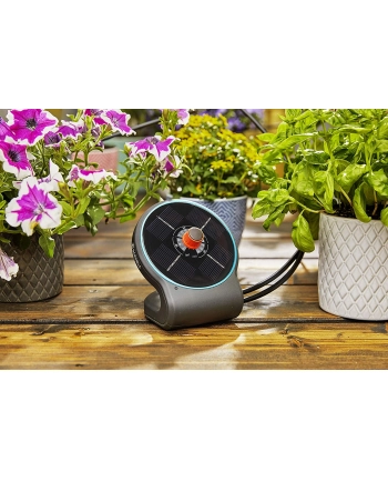 GARDENA Solar Irrigation aquaBloom Set, automatic irrigation system (gray, for up to 20 plants) nr 2