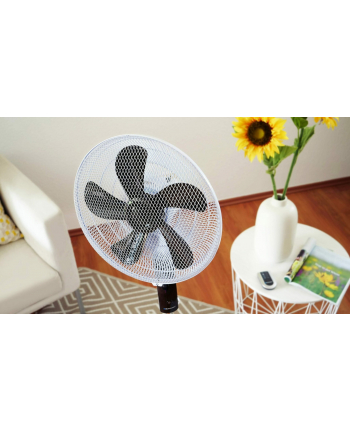 BLAUPUNKT STAND FAN