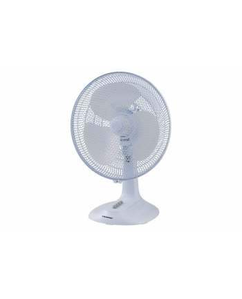 BLAUPUNKT TABLE FAN